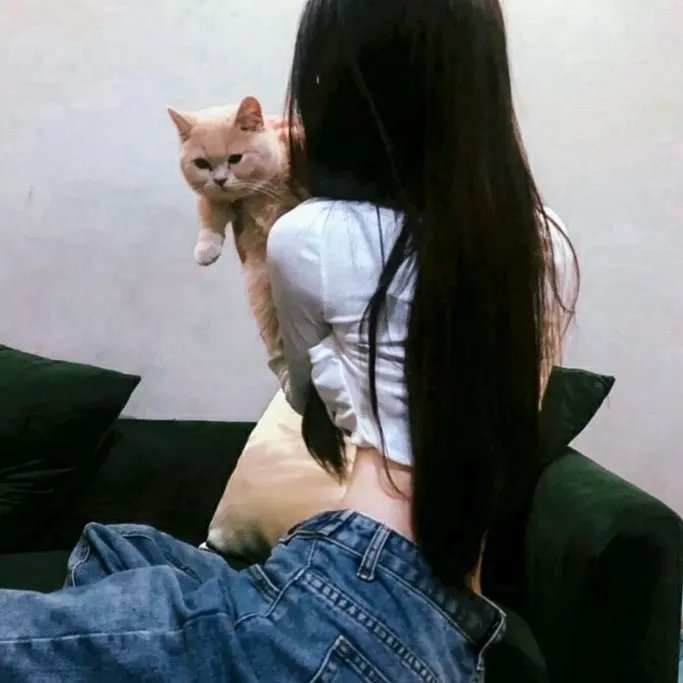 彩虹飞车